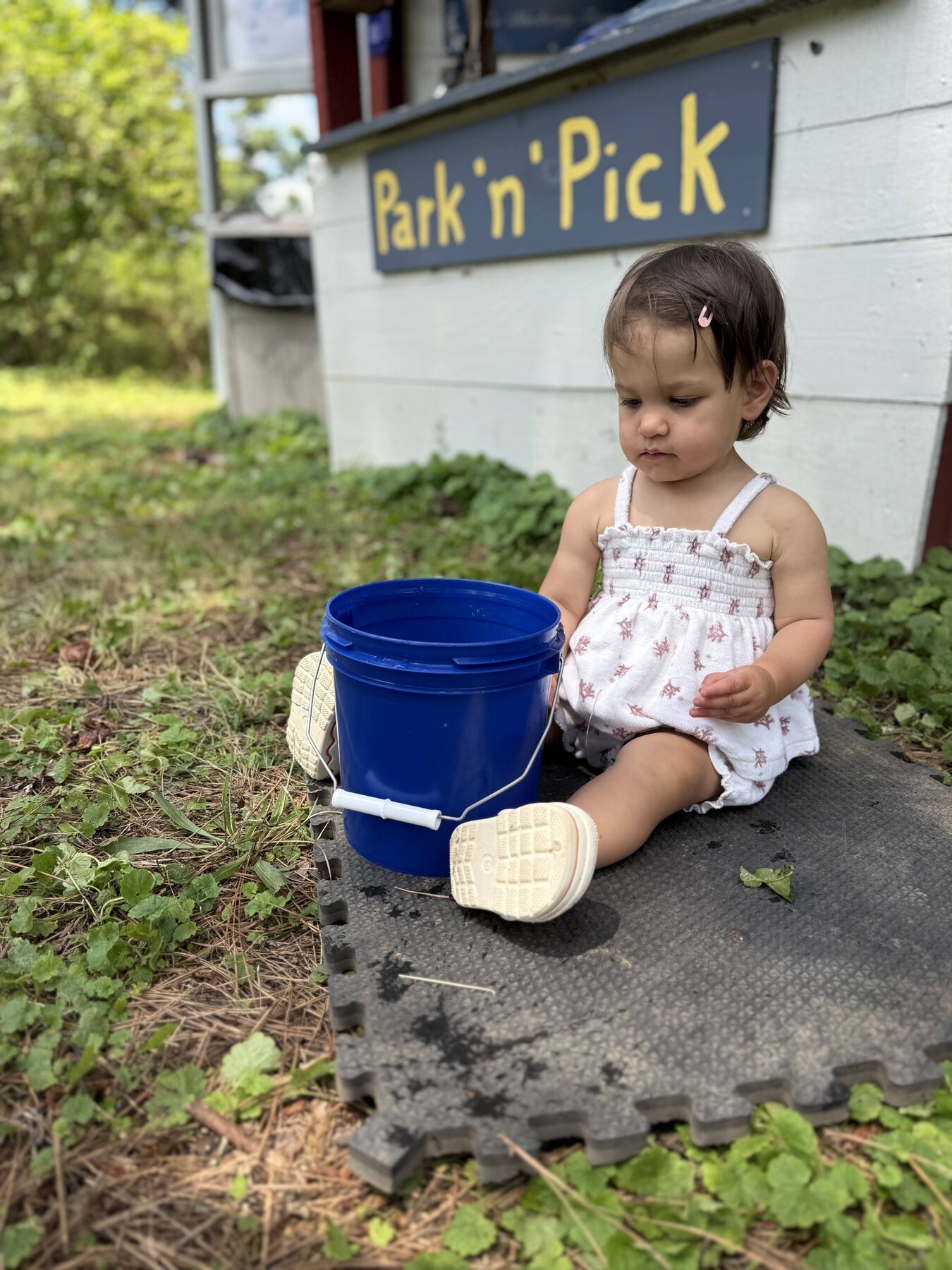 A young child sitting beside a blue picking bucket under the Park 'n' Pick sign